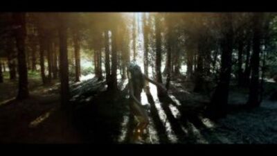 Iamamiwhoami — t