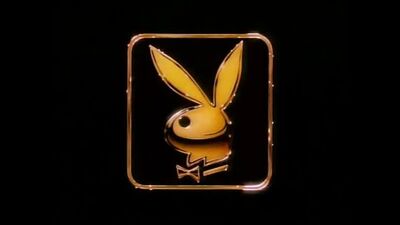 Playboy The Best of Pamela Anderson (1995)
